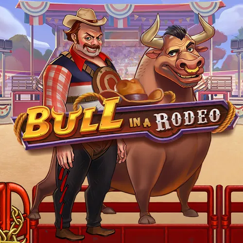 Bull in a Rodeo